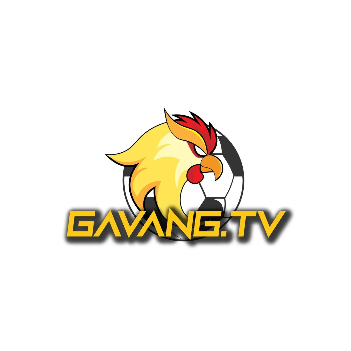 đối tác Gavang TV